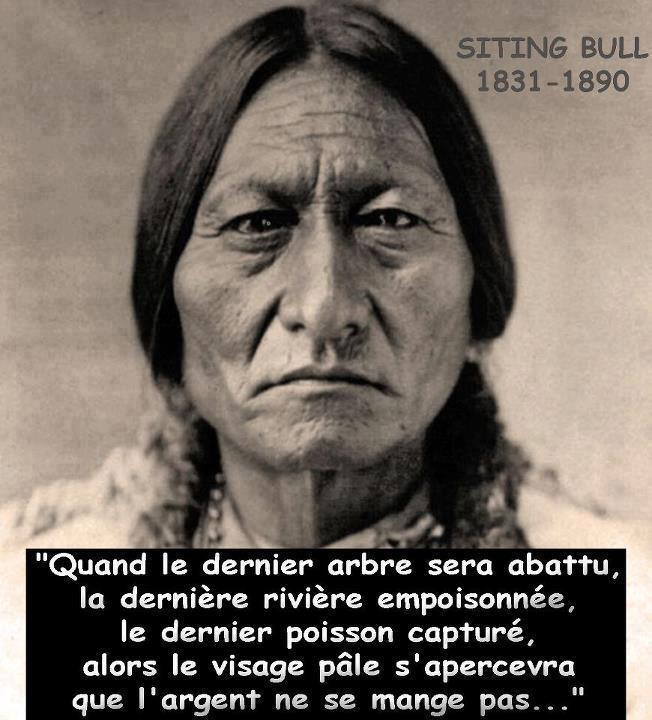 Sitting Bull proverbe